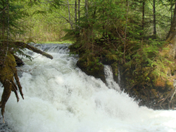 Split Mountain Adventures - Nass River