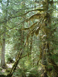 Split Mountain Adventures - Nisga’a Memorial Lava Bed Park